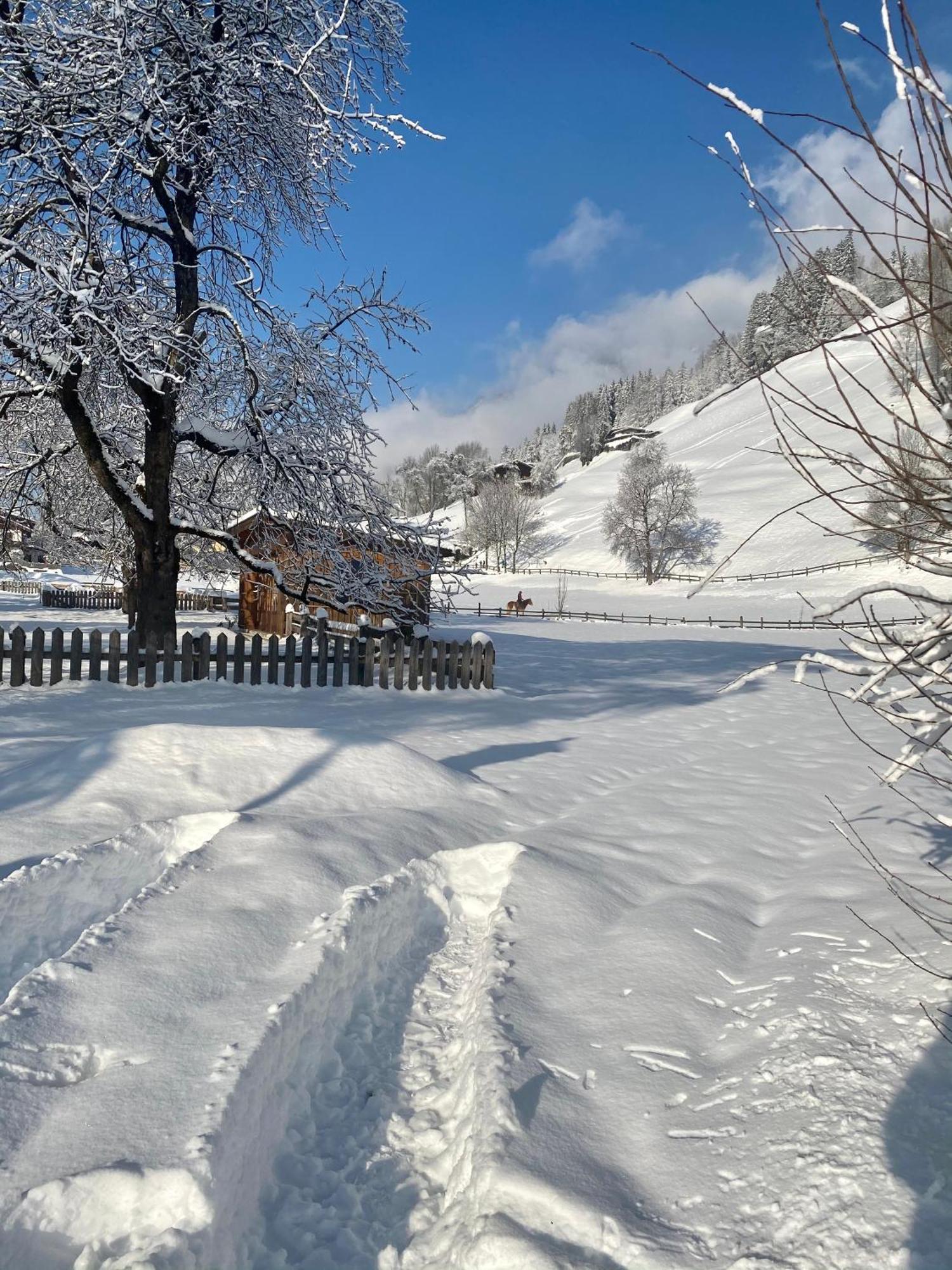 Gasthof Neumeister ชตุมม์ ภายนอก รูปภาพ